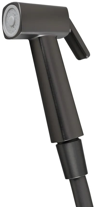 Sapho bidet handdoucheset met toiletrolhouder gunmetal