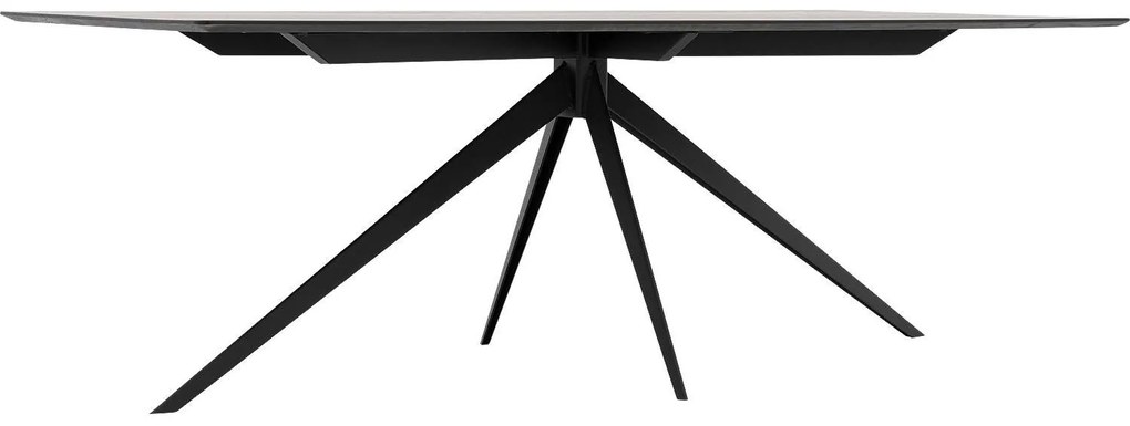 Goossens Excellent Eettafel Uniek, Rechthoekig 220 x 100 cm