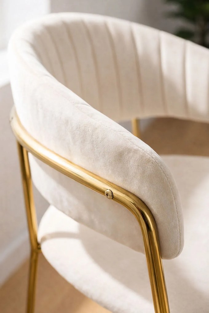 Moniel Foud Fluwelen Stoel