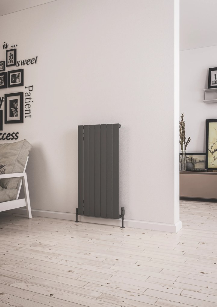Eastbrook Addington type 10 radiator 50x100cm staal 786W antraciet