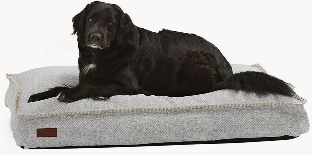 Hondenmand Dog, verschillende formaten