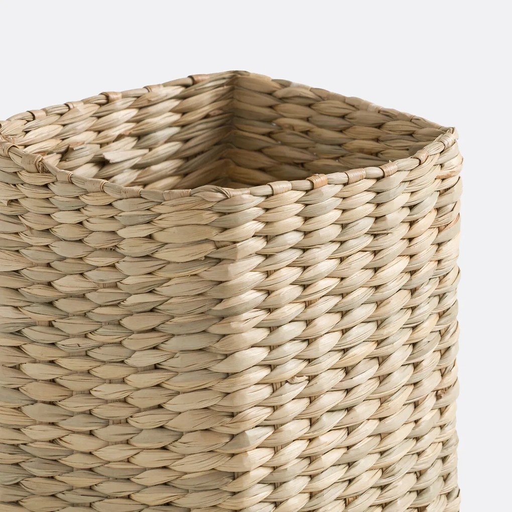 Potloodhouder in gevlochten herbarium, NOVE