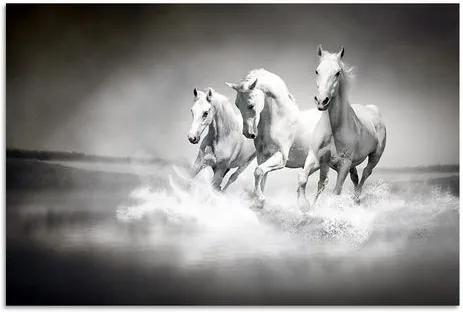 HOME AFFAIRE artprint achter acrylglas, »Paarden«, 60x40 cm