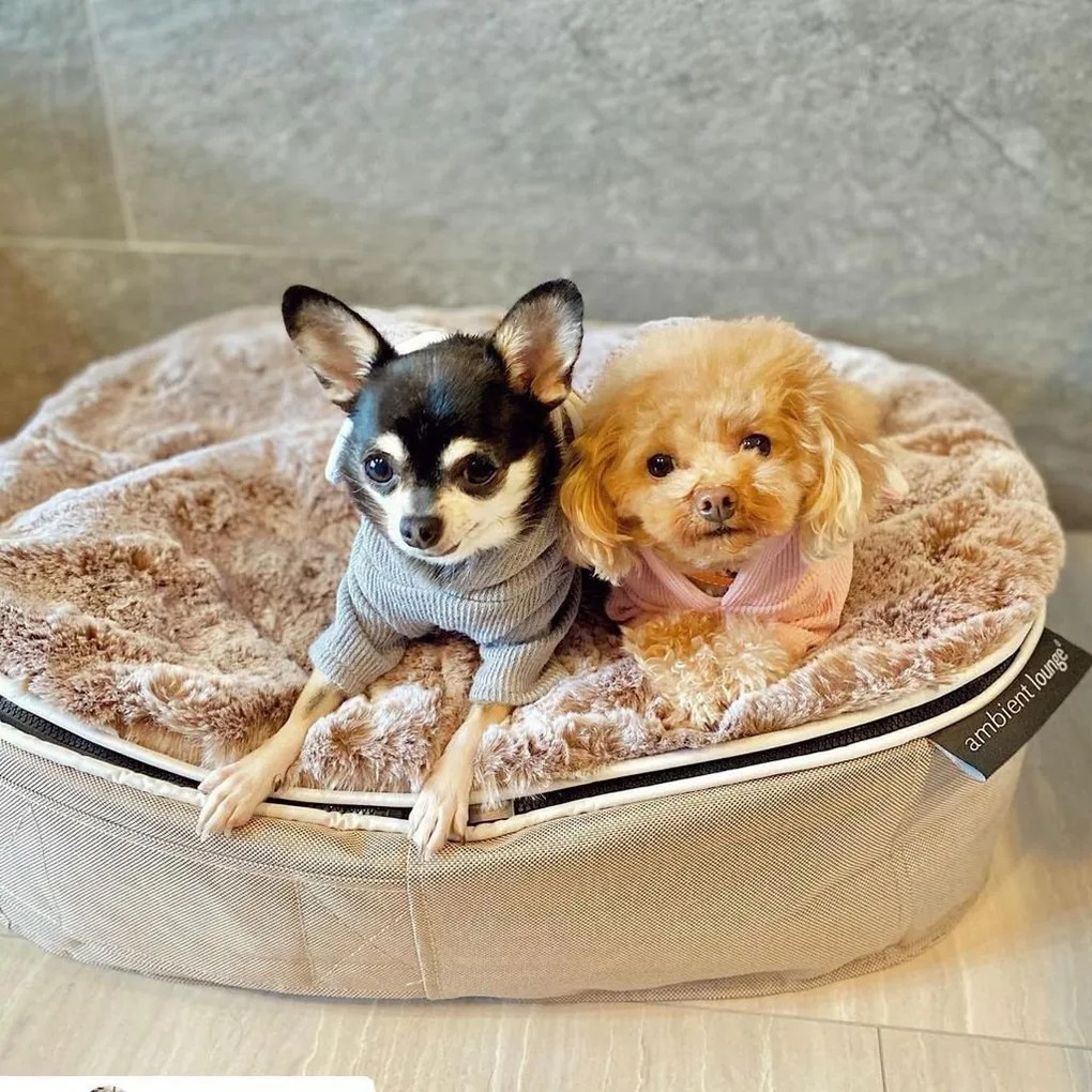 Pet Bed Indoor/Outdoor Cappuccino - Small