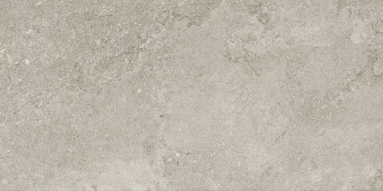Valence Lisse vloertegel 30x60cm grijs mat gerectificeerd