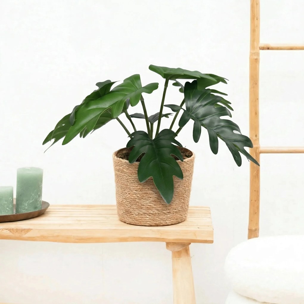 Kunst Philodendron Xanadu - 20cm
