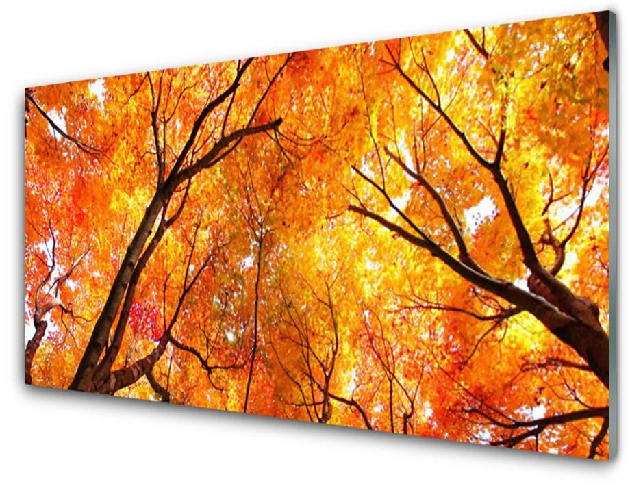 Plexiglas foto Bomen natuur 100x50 cm