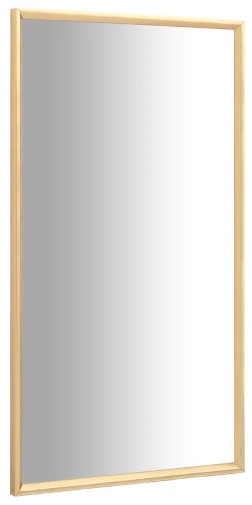 vidaXL Spiegel 120x60 cm goudkleurig