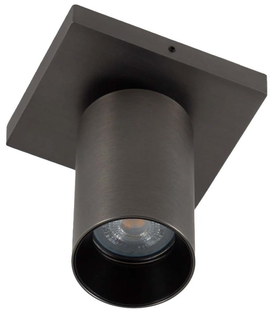Lynn 1 Opbouwspot Gun Metal met Smart RGB LED