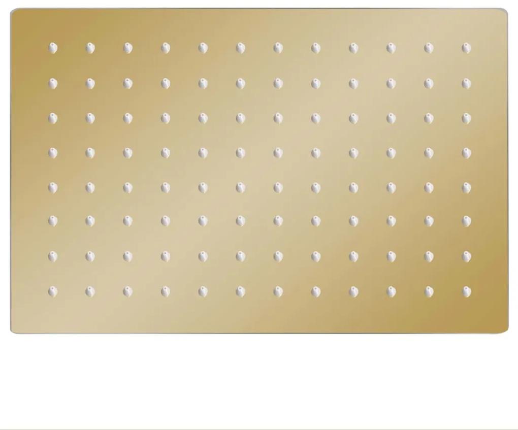 vidaXL Regendouchekop rechthoekig 30x20 cm roestvrij staal goudkleurig