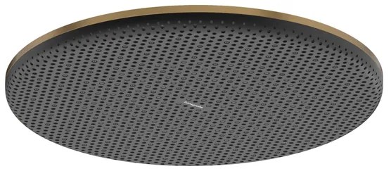 Hansgrohe Raindance alive hoofddouche 300 1 jet Brushed bronze (brons) 24520140
