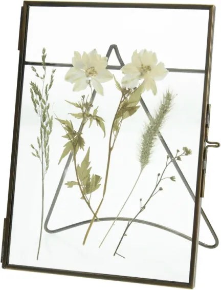 Fotolijst Dried flower Transparant