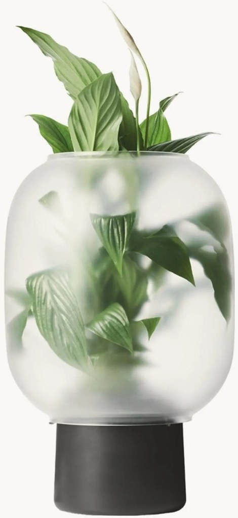 Plantenpot Nebl in glas