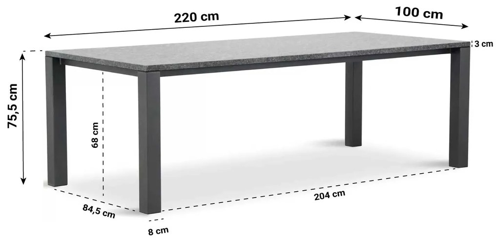 Dining Tuintafel rechthoekig 220 x 100 cm Graniet Grijs Munster