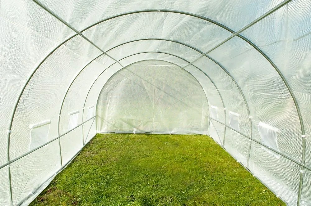 Witte folietunnel 3x10m Tuinpunt