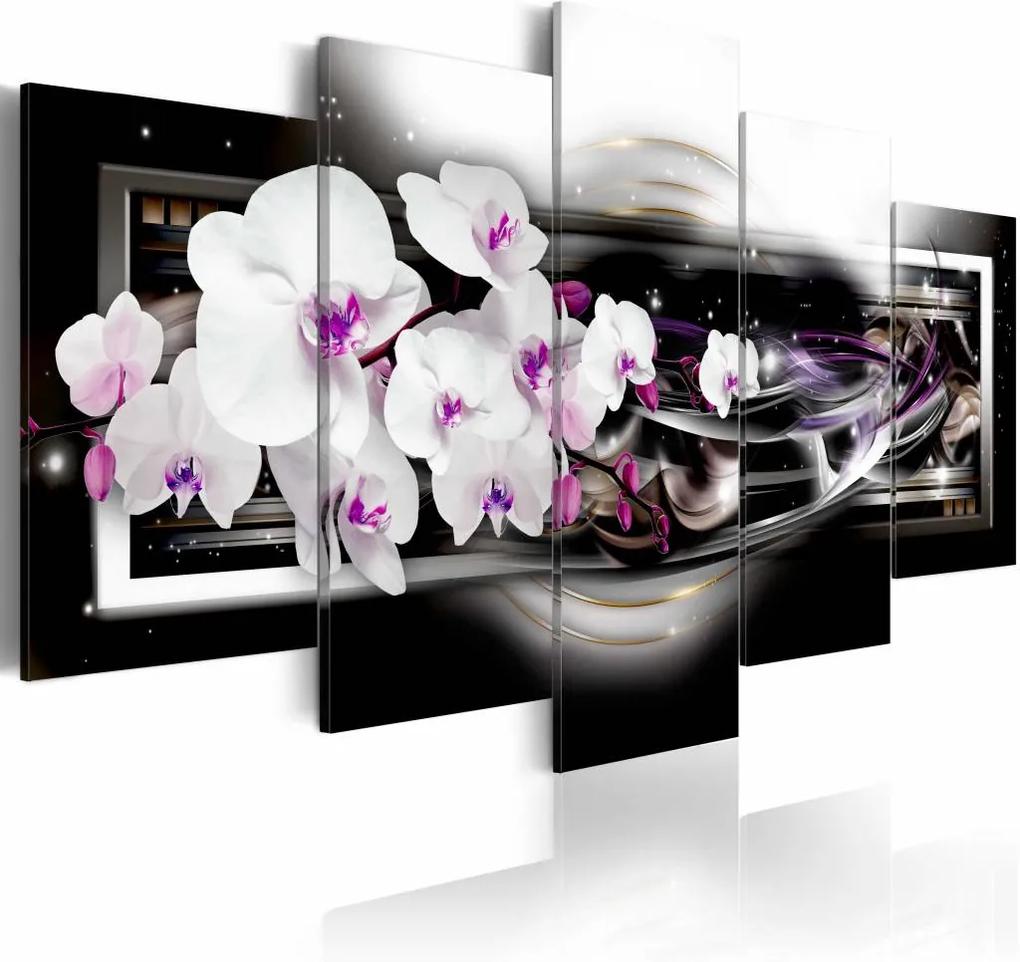 Schilderij - Orchidee op een zwarte achtergrond , wit zwart , 5 luik