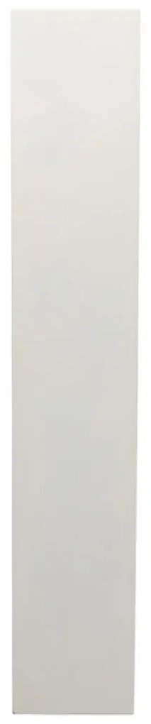 Smalle Kast Organische Vorm - 48x32x180cm.