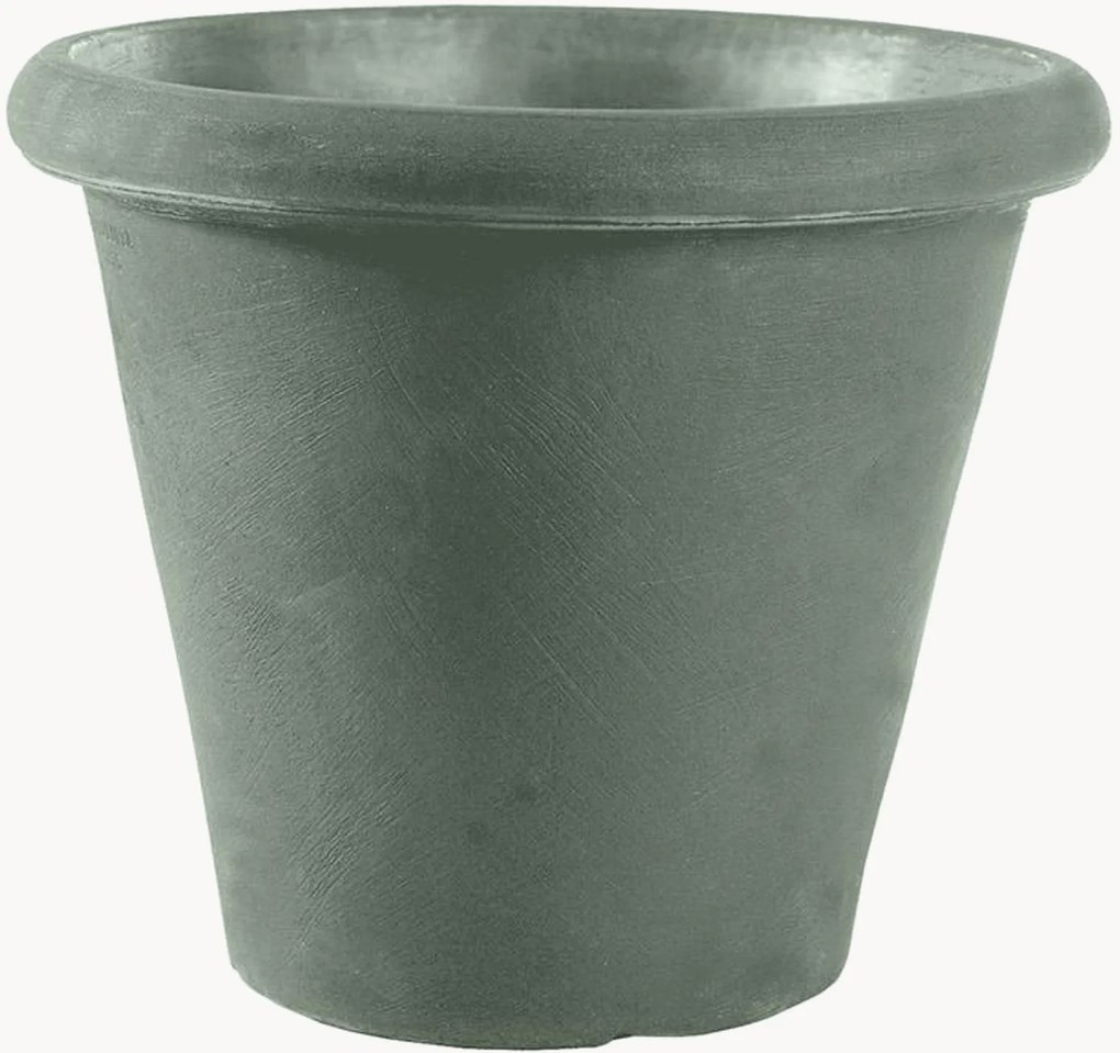 Plantenpot Camelia