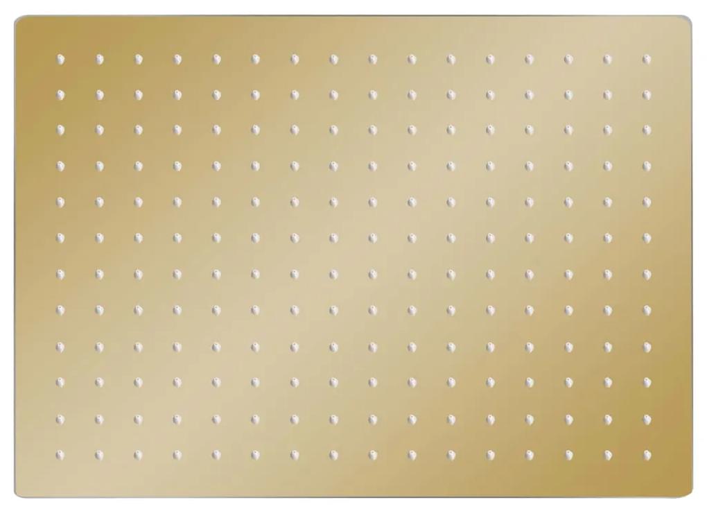 vidaXL Regendouchekop rechthoekig 40x30 cm roestvrij staal goudkleurig