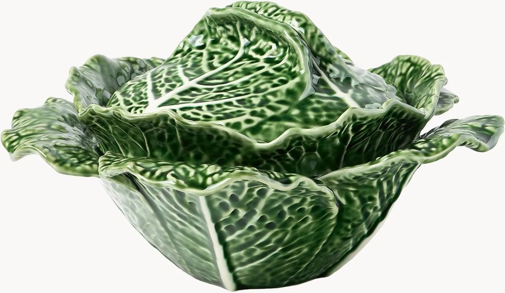 Saladeschaal Cabbage