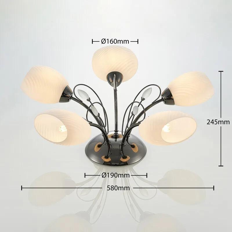 Sibyll plafondlamp met glas, 5-lamps - lampen-24