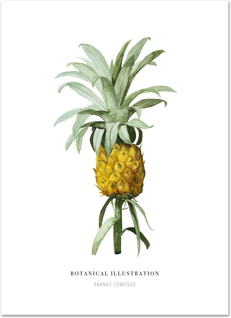 Poster 'Ananas' A3