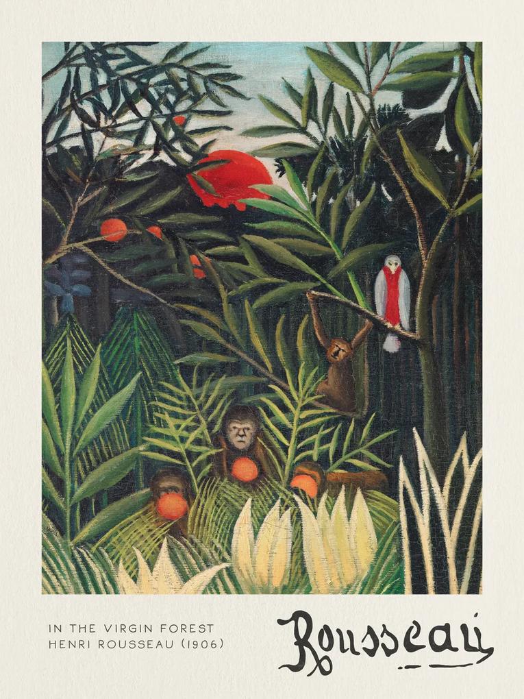 Kunstdruk Monkeys & Parrot (In the Virgin Forest) - Henri Rousseau, (30 x 40 cm)