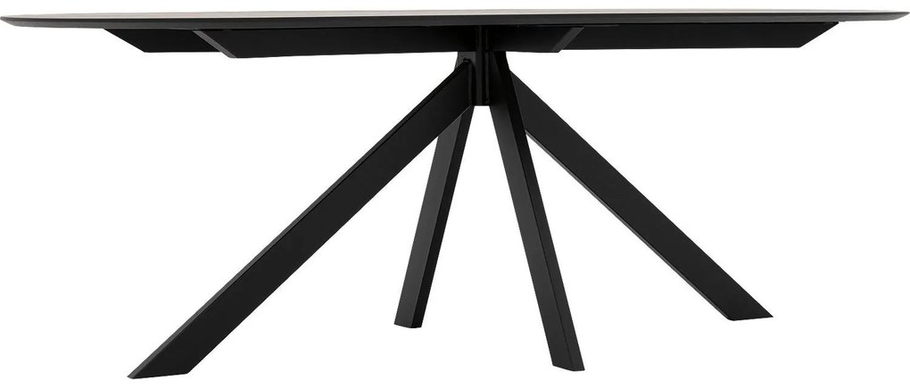 Goossens Excellent Eettafel Uniek, Semi rond 260 x 100 cm