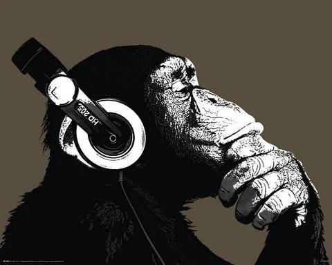 HOME AFFAIRE artprint »The Chimp - Stereo«