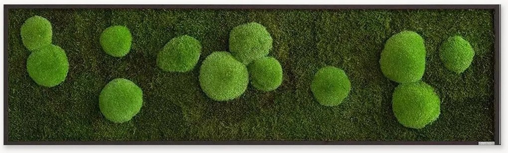 Handgemaakte mos- en bolmoswandprint Wild, ingelijst