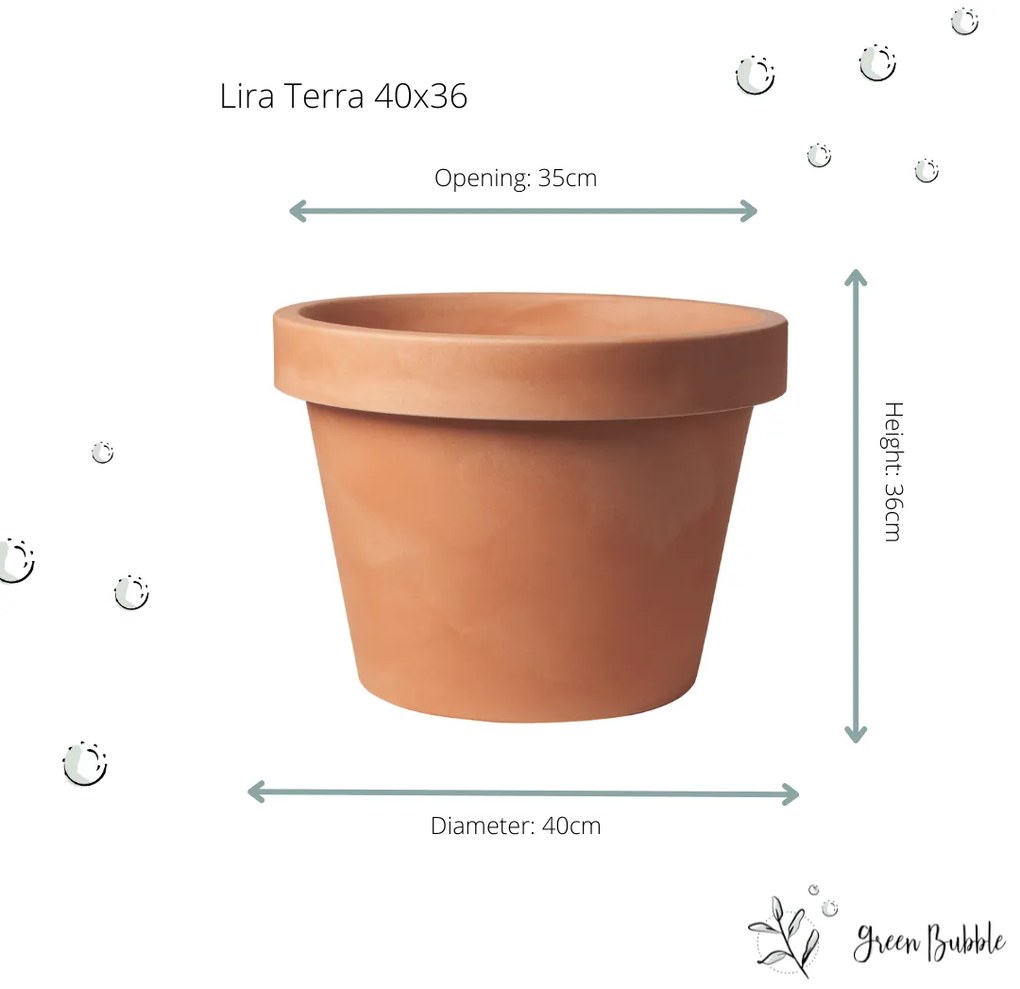 Lira Terra