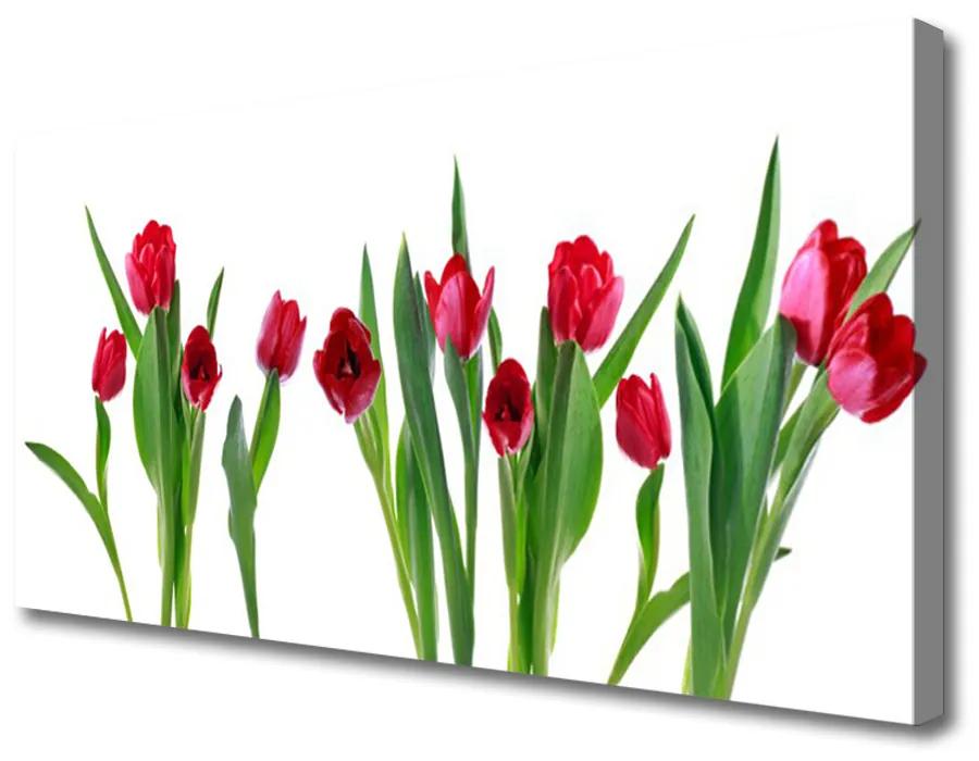 Canvas doek foto Tulpen bloemen plant 100x50 cm
