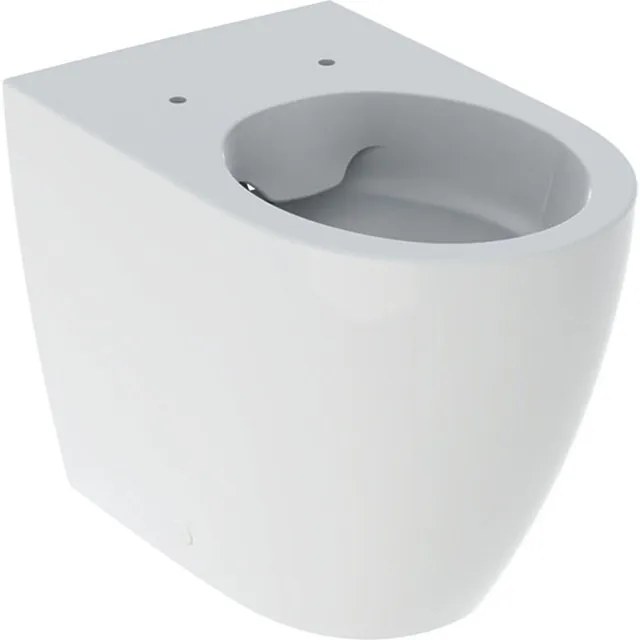 Geberit Icon Closet Staand - 41cm - back to wall - PK - rimfree - wit 502.382.00.1