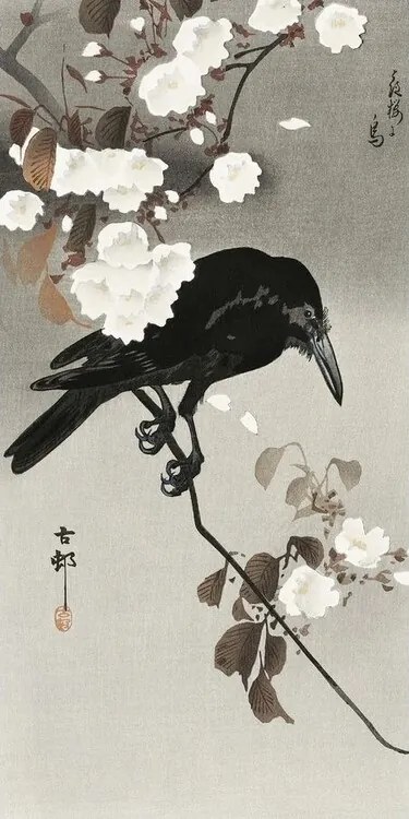 Kunstdruk Crow And Cherry Blossom, Ohara Koson