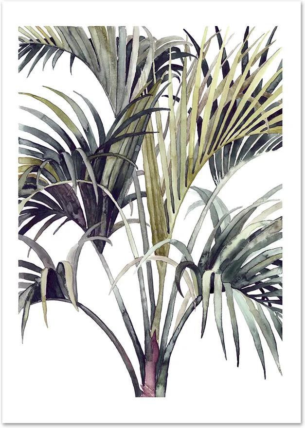 Poster 'Wild Palm' A3