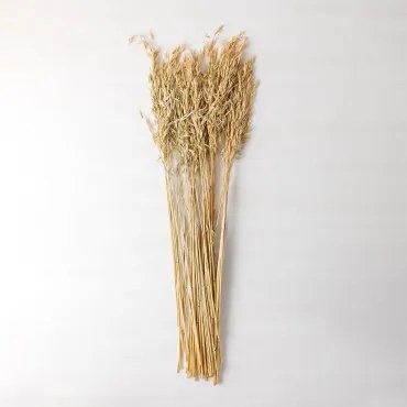 Jayra Decoratief Boeket Beige – Crème - Sklum
