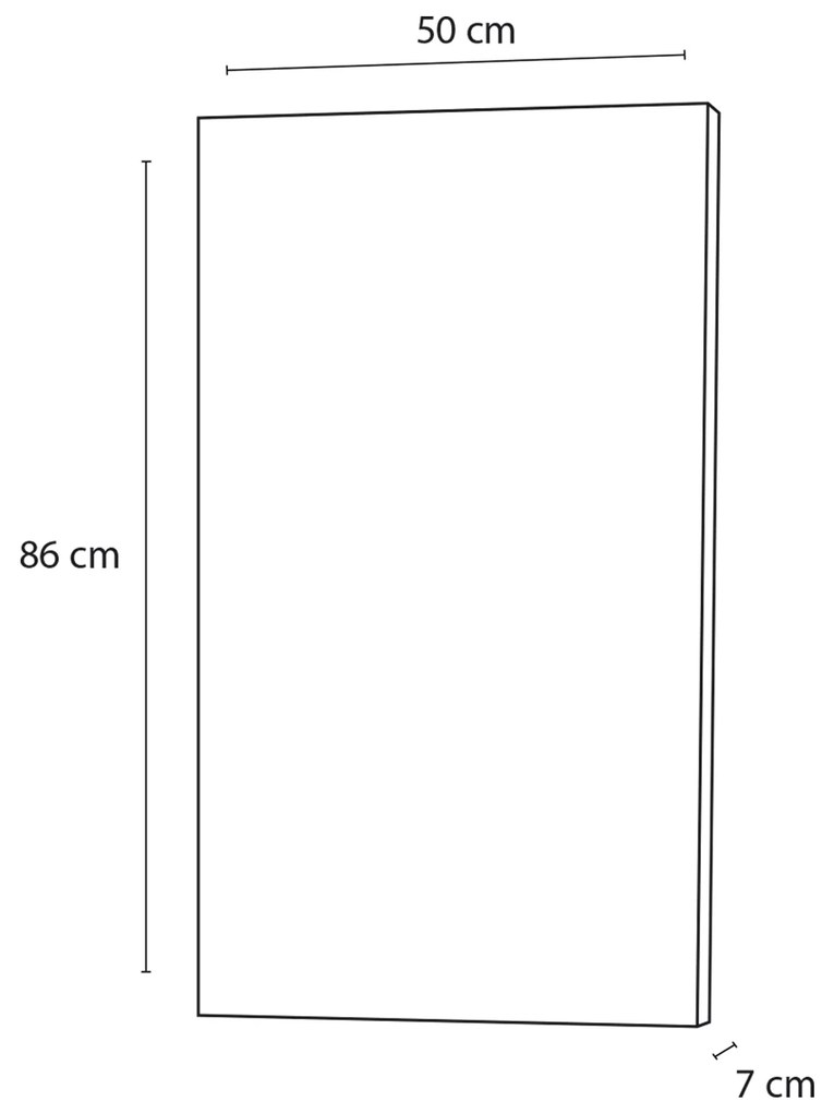 Differnz Force spiegel 86x50cm grijs eiken