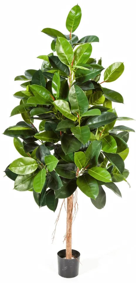 Ficus Elastica kunstplant - 180 cm