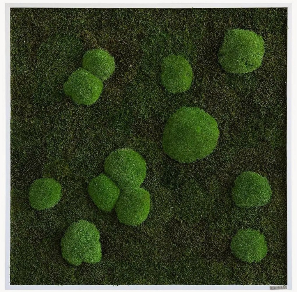 Handgemaakte mos- en bolmoswandprint Wild, ingelijst