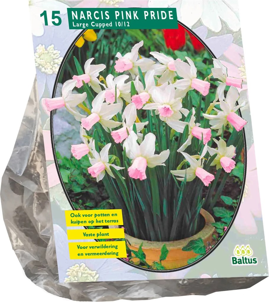 Baltus 'Narcis Pink Charm' - voorjaarsbloeiers - Roze - 15 bloembollen