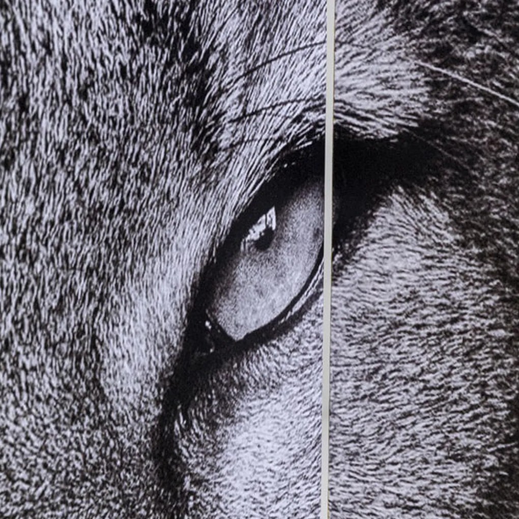 Kare Design King Lion Vs Cat Girl Kamerscherm Dubbelzijdig Schilderij