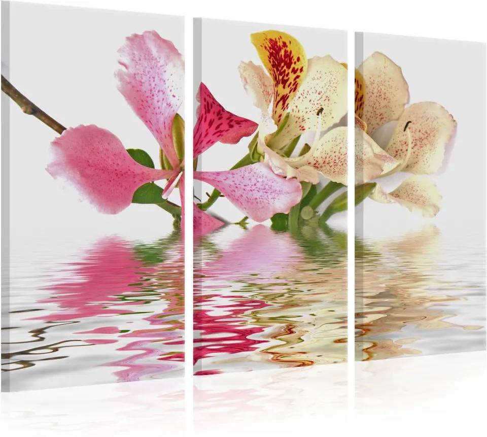 Schilderij - Orchideeën met roze vlekken , 3 luik