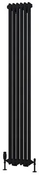 Eastbrook Rivassa 2 koloms radiator 30x180cm staal 933W zwart mat