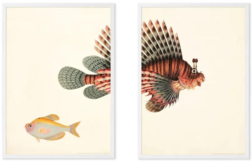 Vintage Fish illustratie van het Natural History Museum set van 2 ingelijste prints A3, meerkleurig