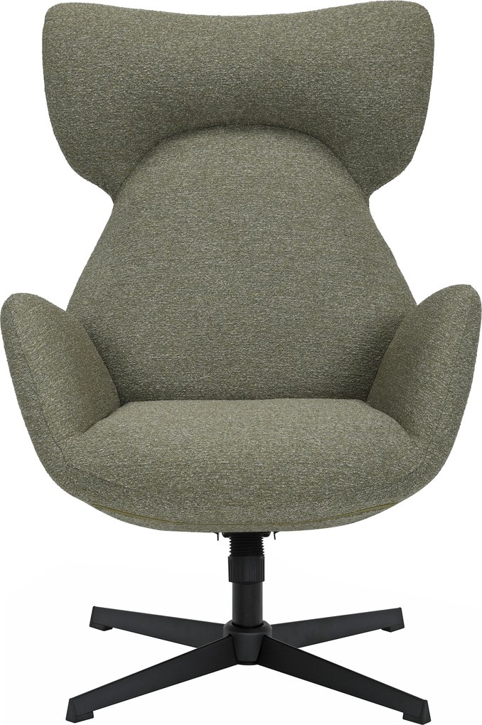 Kantelbare Fauteuil Groen