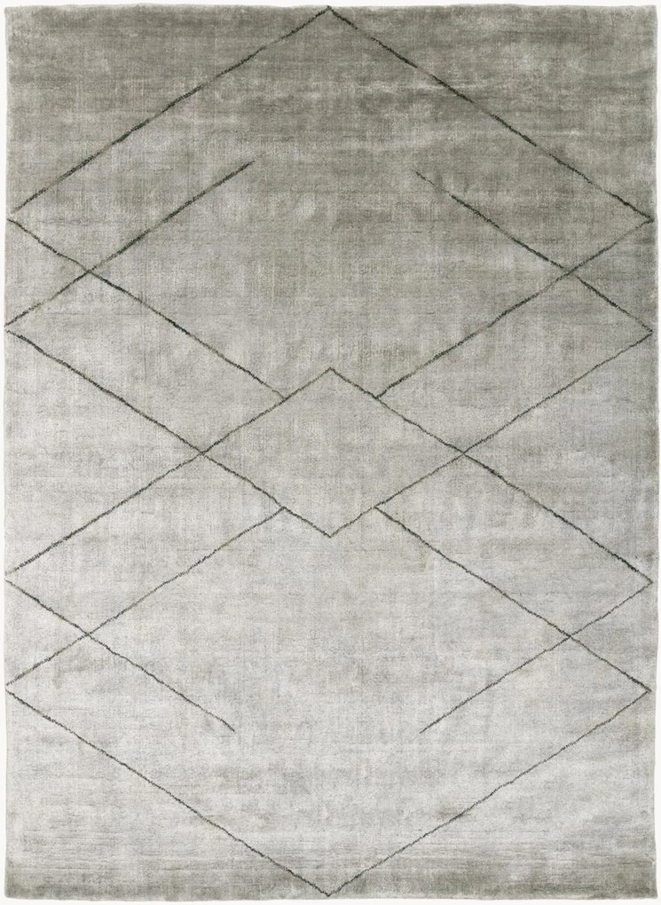 Handgeweven laagpolig viscose vloerkleed Tetsu