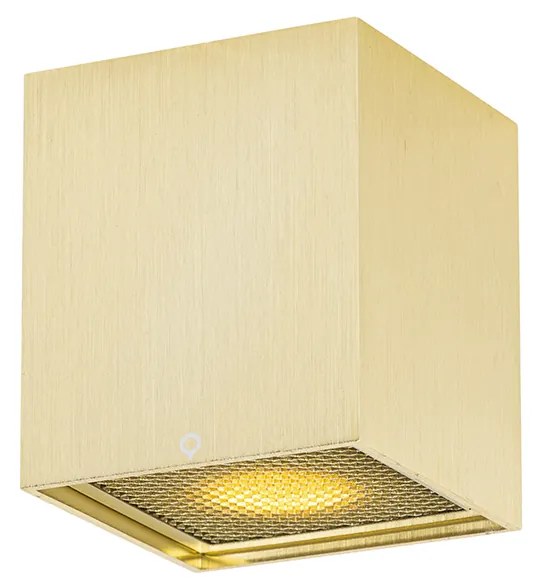 Design opbouwSpot / Opbouwspot / Plafondspot goud GU10 50mm - Qubo Honey Design GU10 vierkant Binnenverlichting Lamp