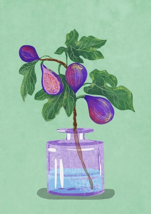 Ilustratie Figs Branch In Vase, Raissa Oltmanns