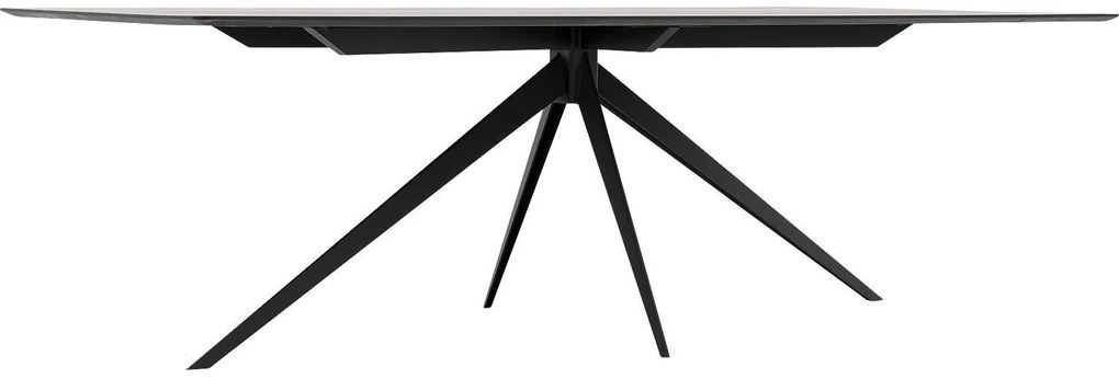 Goossens Excellent Eettafel Uniek, Rechthoekig 260 x 100 cm