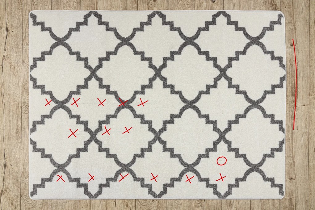 Tapijt SKETCH - F343 room / grijs  klaver Marokkaanse, trellis - TWEEDE-KLASSE PRODUCT